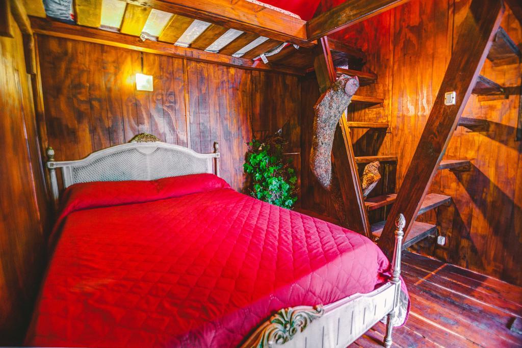 F&F Hostel Punta del Este Rom bilde